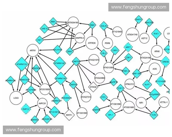 围绕S5赛季所有英雄的全方位全面解析与高效战术策略深度分享指南